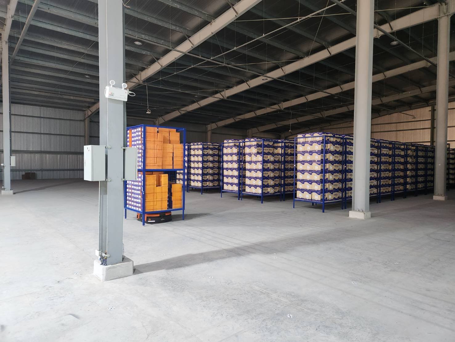 Wide view of the Deblu warehouse — the scale of the system.